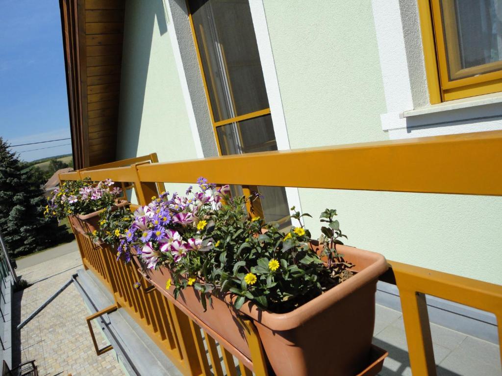 Gaestezimmer Rieder Staatz Szoba fotó