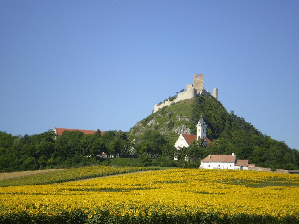 Gaestezimmer Rieder Staatz Kültér fotó